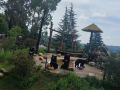 -云南野生动物园