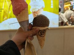 -野人先生现做冰淇淋(西安赛格店)