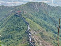 -镇南锅盖面馆(解放路店)