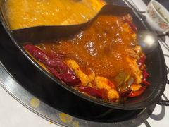 -朱光玉火锅馆(正弘城店)