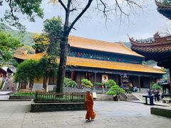 -普陀山风景名胜区-法雨禅寺