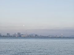 -深圳湾公园(南山区)