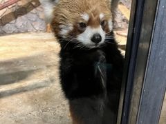 -绿色星球动物主题公园