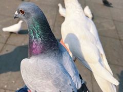 -沈阳森林动物园