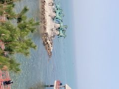 -养马岛旅游度假区