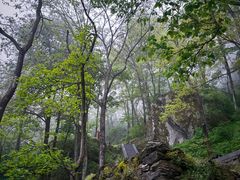 -武当山风景区