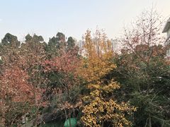 -乌山风景区