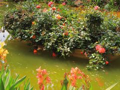 -人民公园(罗湖区)