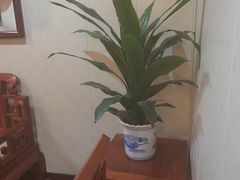 -老阿妈蒙古村·蒙古包·草原文化·歌舞表演(老君堂店)