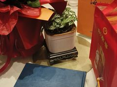 -大铁勺新津菜(熙悦汇店)