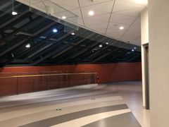 -成都金融城演艺中心