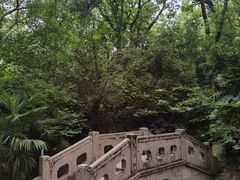 -灵谷景区