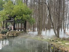 -东湖落雁景区