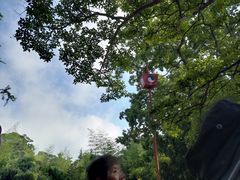 -青岛崂山太清宫