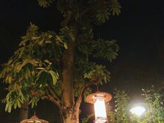 -天然居(伦教店)