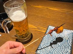 -鸟屯(三里屯店)