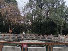 -成都市活水公园
