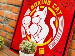 -Boxing Cat Brewery拳击猫精酿啤酒馆(永福店)