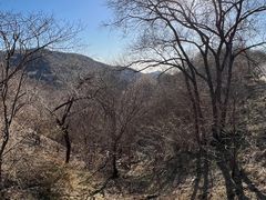 -北京西山国家森林公园