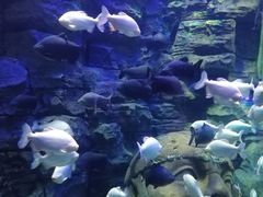 -成都浩海立方海洋公园