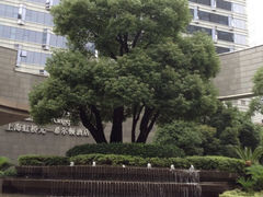iphone_upload_pic-上海虹桥祥源希尔顿酒店