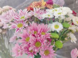 -雅曼妮spa美容养生