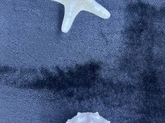 -贝壳王国博物馆