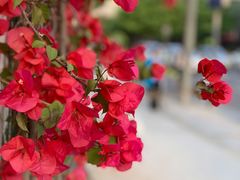 -中国建设银行(成都双林支行)