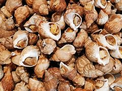 -粤海璇宫·木棉花高空旋转餐厅·聚会派对