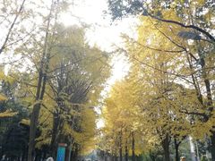 -四川大学(望江校区)