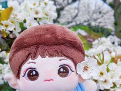 -树山生态村