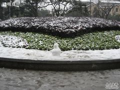 -兰溪青年公园