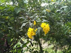 -优游吧斯邹族文化部落