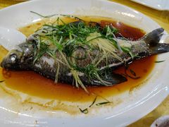 -烧鹅妹饭店