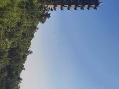 -冶父山国家森林公园