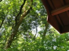 -西湖风景区十里琅珰-五云山