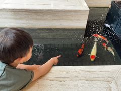 -苏州环秀晓筑养生度假村