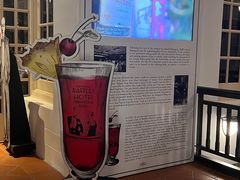 -Long Bar(莱佛士酒店)
