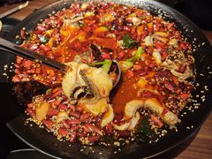 -蜀都丰 川菜·水煮活鱼(万象九宜城店)