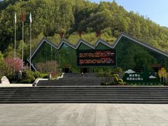 -牛背梁国家森林公园