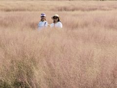 -临平南高铁站(地铁站)