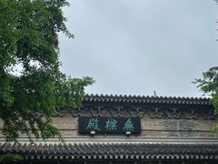 -灵谷景区