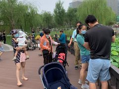 -西海子公园