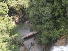 -九龙江国家森林公园