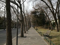 -熙春园餐厅