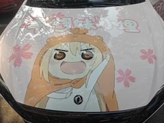 -天猫养车贴膜轻改·蓝电(优匹康桥东路店)