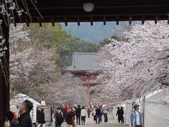 -醍醐寺