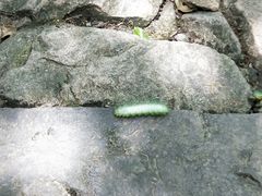 -浙北大峡谷