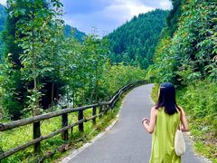 -武陵山森林公园