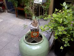 -嘉善老市